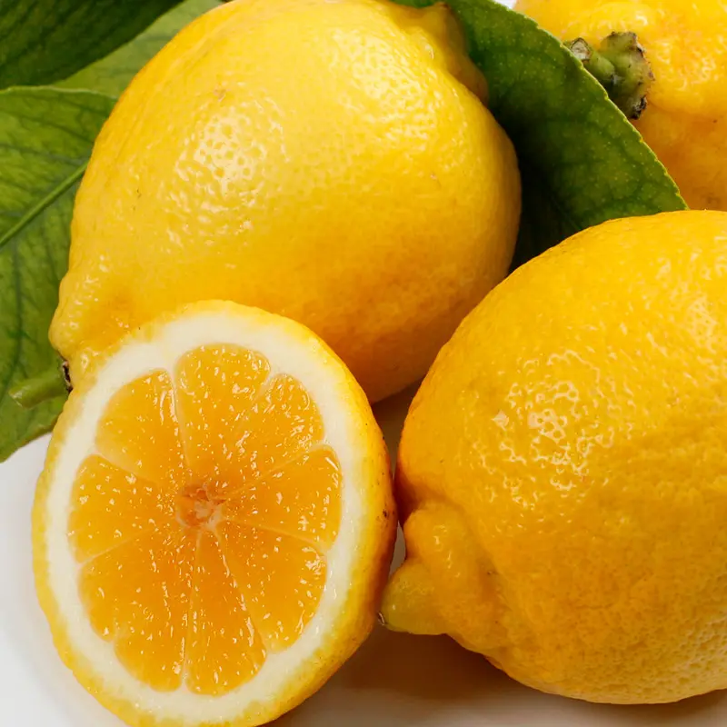 Лимон Дольче дель Бразиль / Lemon dolce del Brasile — цитрусовое растение, детальное фото
