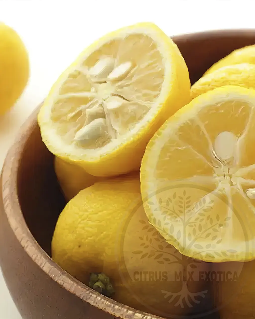 Лимон Юзу / Lemon Junos — цитрусовое растение, детальное фото

